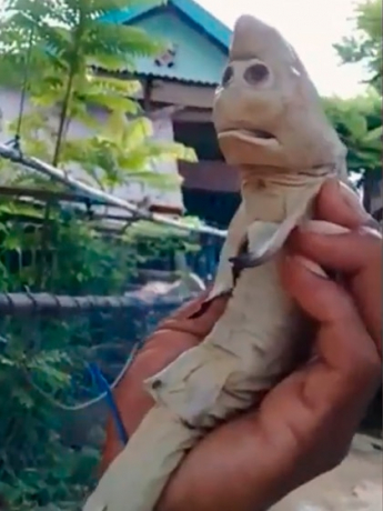 thumb