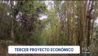 Este martes, el CAL prevé calificar el tercer proyecto de ley económica urgente enviado por el presidente Daniel Noboa. La propuesta permitiría a empresas privadas invertir y administrar áreas protegidas.

Un reportaje de Karen Haro