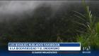 Los bosques nublados son ecosistemas únicos que se encuentran en zonas montañosas húmedas. Albergan una gran biodiversidad y desempeñan un papel en la regulación hídrica y climática.

Un reportaje de Nathalie Jiménez
