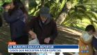 Aunque existen puntos fijos de abastecimiento de agua potable en Quito, uno de los grupos más afectados para llevarla a sus hogares son las personas de la tercera edad. 

Un reportaje de Brigette Mancheno