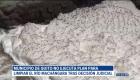 Se cumplió un año de la sentencia judicial que ordenó al Municipio de Quito destinar recursos para un plan de descontaminación del río Machángara. A pesar de esto, la situación sigue igual

Un reportaje de Belén Merizlade