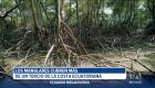 Los manglares son guardianes silenciosos de la naturaleza. Estos ecosistemas abarcan más de la tercera parte de la Costa ecuatoriana y son el hogar de especies únicas, muchas de ellas en peligro de extinción.

Un reportaje de Nathalie Jiménez