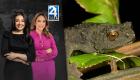 Revise las noticias más destacadas de Quito en la Segunda Emisión del Noticiero 24 Horas de este miércoles 6 de agosto del 2025. Con Andrea Samaniego y Gabriela Galárraga.