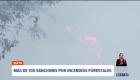 La Agencia Metropolitana de Control inició más de 100 procesos sancionatorios por incendios forestales en Quito, con multas que alcanzan los 35 mil dólares.

Un reportaje de Mishell Villacís