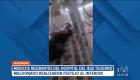 Médicos residentes y personal del Hospital del IESS Teodoro Maldonado Carbo, en Guayaquil, protagonizaron un festejo dentro de las instalaciones de la casa de salud. La institución informó que los involucrados fueron desvinculados.

Un reportaje de Paula Kuhn