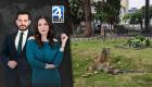 Revise las noticias más destacadas de Guayaquil en la Emisión Central del Noticiero 24 Horas de este viernes 5 de septiembre del 2025. Con Carlos Sacoto y Valerie Villalva.