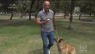 El entrenador Mauricio Davila nos da consejos para pasear a nuestras mascotas en el parque