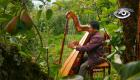 Le llaman maestro no solo por su música, sino por la destreza con la que transforma madera en arpas monumentales.  Hoy, desde su hogar en Píllaro, Víctor comparte cómo sus manos convierten la madera en melodías que emocionan.