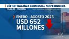 Medicinas y energía eléctrica son los principales rubros que Ecuador importa desde el mercado colombiano. Un reportaje de Bernarda Cevallos