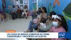 Guayaquil registra un promedio de 12 casos diarios de dengue. El aumento sostenido de contagios pone en alerta a las autoridades de salud. Un reportaje de Ever Moreira