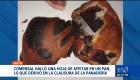 Una denuncia viral movilizó a la Arcsa para clausurar dos panaderías en Quito. Se detectó condiciones de insalubridad extremas en los locales. Un reportaje de Gustavo Jaramillo