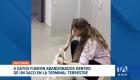 Un nuevo caso de crueldad animal se registró en la terminal terrestre. El abandono de mascotas experimenta un  incremento este año. Un reportaje de Camila Guevara