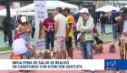 Vecinos del norte de Quito accedieron a servicios de salud  gratuitos el fin de semana. Las brigadas se alistan para trasladar la mega feria al sur. Un reportaje de Brigette Mancheno