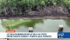 Entre Puerto Hondo y Puerto Azul, el ecosistema de manglar sigue siendo destruido pese a las denuncias ciudadanas. Un reportaje de Ever Moreira