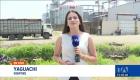 El proceso de compra pública de arroz en cáscara inició oficialmente para productores verificados; los centros de recepción se encuentran distribuidos estratégicamente en ambas provincias para facilitar el comercio.
