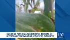 Unidades especializadas de la Policía Nacional desarticularon bandas dedicadas al secuestro extorsivo en diversas zonas rurales. Un reportaje de Catalina García