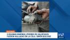 Los ejemplares protegidos aparecieron en distintos puntos de la ciudadela Simón Bolívar, en Guayaquil, en las cercanías del aeropuerto. Un reportaje de Ricardo Cruzatty