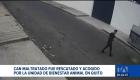 La Unidad de Bienestar Animal del Municipio de Quito rescató al canino para brindarle atención integral. Autoridades iniciaron con el proceso de sanción. Un reportaje de Juan Miguel Rodríguez
