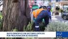 La Secretaría de Salud de Quito informó que las intervenciones sanitarias lograron mitigar la presencia de ratas. Se alerta de la presencia de insectos. Un reportaje de Mishell Villacís
