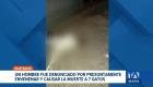 Moradores del sur de Guayaquil señalan a un vecino de haber colocado una sustancia tóxica en las áreas comunes lo que causó la muerte de 7 gatos. Un reportaje de Paula Kuhn
