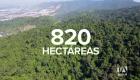 Colectivos ecologistas cuestionan la medida del Ministerio de Ambiente sobre la explotación minera en Cerro Azul. La zona es un área protegida. Un reportaje de Johanna Ramos