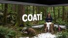 Exploramos la vida del coatí, una especie que habita en las regiones boscosas. Hay tres variedades registradas y destaca en los ecosistemas amazónicos. Un reportaje de Nathalie Jiménez