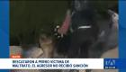 La Unidad de Bienestar Animal logró rescatan a un pastor alemán maltratado en la vía pública. El responsable no recibió sanciones al estar en situación de calle. Un reportaje de Mishell Villacís
