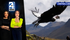 Revise las noticias más destacadas de Quito en la Emisión Central del Noticiero 24 Horas de este miércoles 8 de julio del 2026. Con Stephany Paz y Andrea Samaniego.