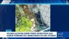Una mujer enfrenta posible multa de USD 4 800 por la muerte de un perro. Según los informes, la mascota permaneció semanas sin alimento ni agua. Un reportaje de Mishell Villacís