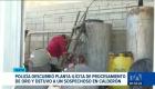 La intervención en el barrio Bellavista de Quito dejó un detenido, quien se desempeñaba como presunto cuidador de la instalación. Un reportaje de María Gracia Chacón