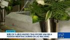 Un menor perdió la vida mientras dormía luego de que un proyectil atravesara el techo de su vivienda. Además, un ataque armado dejó tres fallecidos y dos heridos en Guayaquil.