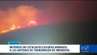 Cuerpos de bomberos y comuneros trabajan en la mitigación del fuego en la zona protegida, en un evento sin precedentes en la provincia desde hace una década. Un reportaje de David Vizcaíno