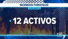 Las fuertes ráfagas de viento y las altas temperaturas complican la sofocación del fuego a escala nacional, provocando la rápida propagación de las llamas. Un reportaje de Belén Merizalde