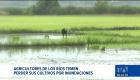 Productores agrícolas expresan su preocupación ante la llegada del evento climático, advirtiendo un alto impacto en los cultivos. Un reportaje de Ericka Vera