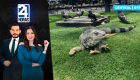 Revise las noticias más destacadas de Guayaquil en la Emisión Central del Noticiero 24 Horas de este jueves 20 de agosto del 2026. Con Carlos Sacoto y Valerie Villalva.