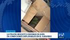 Mediante el allanamiento a dos inmuebles, las autoridades rescataron varias especies que permanecían en condiciones deplorables. Un reportaje de Jazmín Solís