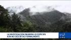 El último inventario elaborado por investigadores permitió incorporar dos nuevas especies de mamíferos al listado oficial de biodiversidad del país. Un reportaje de Bernarda Cevallos