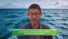 Sebastián Cruz, especialista en aves marinas, explica cómo la disponibilidad de alimento puede influir en los desplazamientos y ciclos reproductivos de estas especies.