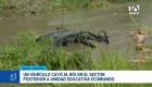 Residentes del sector denunciaron la demora de los equipos de socorro. Una vecina de la zona se lanzó al agua para intentar rescatar al conductor. Un reportaje de Camila Guevara