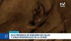 Sectores como Alborada, Guayacanes y Sauces reportan una alta presencia de plagas, lo que representa una grave amenaza para la salud pública. Un reportaje de Camila Guevara