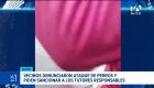 Moradores de Carapungo piden la intervención de las autoridades para identificar a los dueños de los animales involucrados y aplicar sanciones. Un reportaje de Gustavo Jaramillo