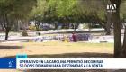 Intervenciones entre el Municipio de Quito y las Fuerzas Armadas identificaron a consumidores y microcomerciantes que operaban en el Parque La Carolina. Un reportaje de Brigette Mancheno