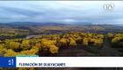 El incremento de precipitaciones asociado al fenómeno de El Niño transformó el paisaje del sur del país, activando el espectáculo natural en la provincia de Loja. Un reportaje de María del Rocío Coronel