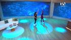 Paz y Polette Vega, hermanas y patinadoras artísticas sobre ruedas, comparten su trayectoria, sus medallas y los logros que han alcanzado gracias a años de entrenamiento y competencias.