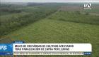 El adelantamiento del cierre de la zafra debido a las precipitaciones asociadas a El Niño generó fuertes perjuicios económicos al sector. Un reportaje de Bernarda Cevallos