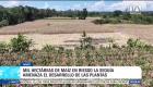 Alrededor de mil hectáreas agrícolas se encuentran en peligro. Solo en la parroquia Chonta Punta, más de 600 agricultores temen perder la totalidad de sus siembras antes del periodo de cosecha. Un reportaje de Roberto Verdezoto