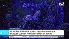 Revise las noticias más destacadas de Guayaquil en nuestro Noticiero 24 Horas Primera Emisión de este miércoles 21 de octubre del 2026. Con Valerie Villalva y Carlos Sacoto.