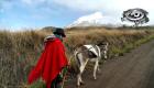 La partida de Baltazar Ushca pareció sentenciar la extinción de una de las tradiciones más sacrificadas de los Andes. Sin embargo, en el silencio del Chimborazo, el oficio no se apagó. Juan, el yerno de Baltazar y depositario de los secretos de esta rutina casi extinta, tomó el relevo y, a pesar de lo duro del camino, no está dispuesto a abandonarlo.