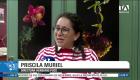 En una nueva entrega de Ecuador Megadiverso, se destacan las cerca de 500 especies de bromelias presentes en el país, plantas que crecen sobre las ramas de otros árboles y de las cuales varias son endémicas. Un reportaje de Nathalie Jiménez