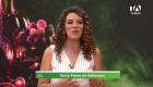 Junto a Paola Cubides, organizadora de eventos, descubrimos cuáles son las decoraciones en tendencia para este halloween 2026.